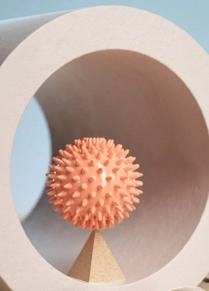 Hedgehog Massage Fascia Ball