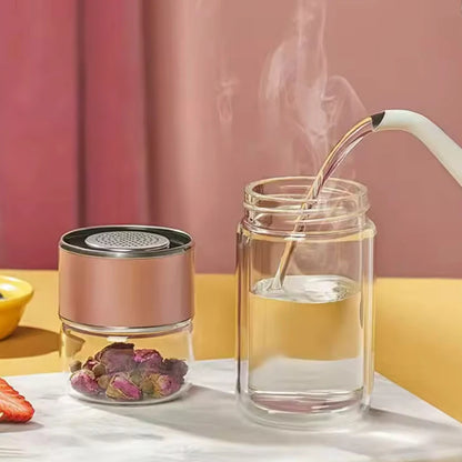 Glass Infuser Tea Bottle